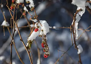 В Беларуси объявили оранжевый уровень опасности