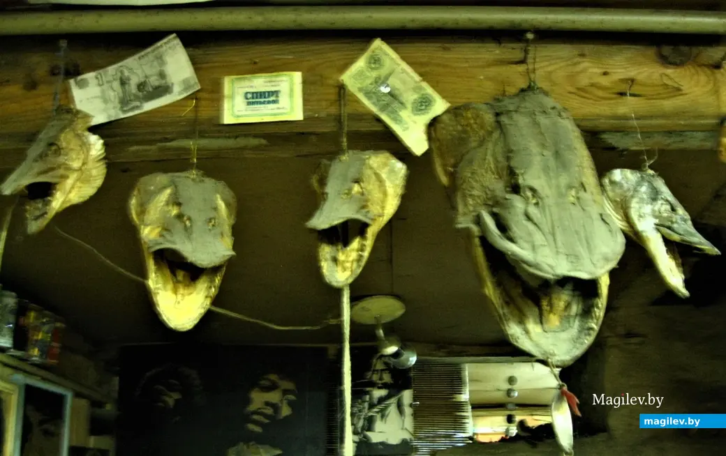 Даже в битловском музейчике у Володи Кутузова среди засушенных голов реликтовых обитателей днепровских вод легко можно отыскать денежную наличность. Даже не наводя глаз