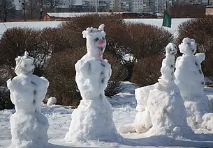 Потепление и снег с дождем: какой будет погода на неделе с 11 по 17 декабря