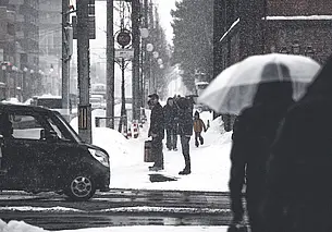 За выходные жители Могилевской области 856 раз нарушили ПДД