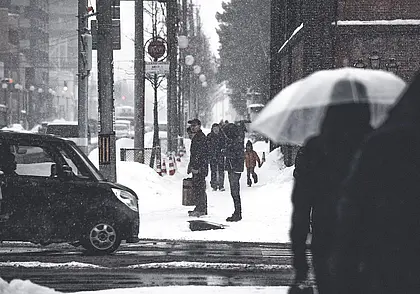 За выходные жители Могилевской области 856 раз нарушили ПДД