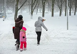 Снег, метель, порывистый ветер: какой будет погода в Могилеве в четверг, 8 января