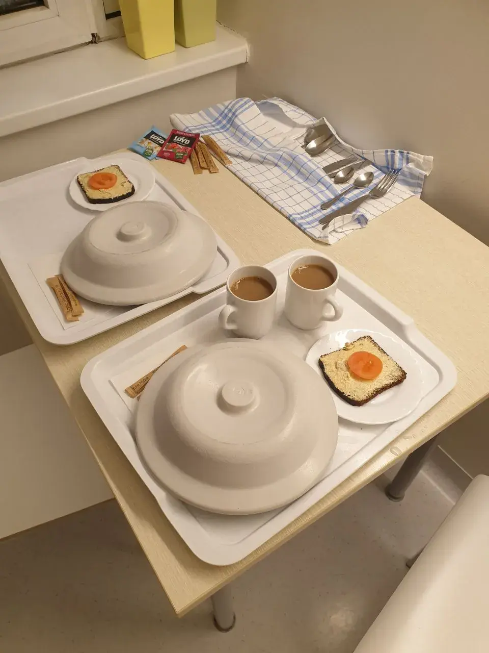 Больничный обед в роддоме в Таллине для Алены и ее мужа.