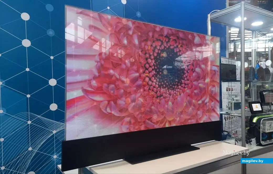 Февраль 2023 г. Могилев, спорткомплекс «Олимпиец». Тот самый «прозрачный телевизор», который изготавливают под заказ.