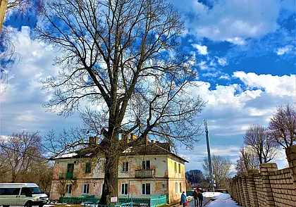 Визит к старому другу на Менжинку. С возрастом в особом  отношении нуждаются не только люди