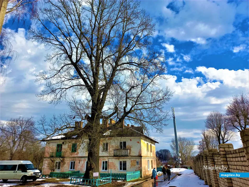 Как видим, неподалеку от нашего старого друга появилась вышка одного из операторов мобильной связи. В высоту она сразу же общеголяла дуб. Но секрет долголетия не всегда