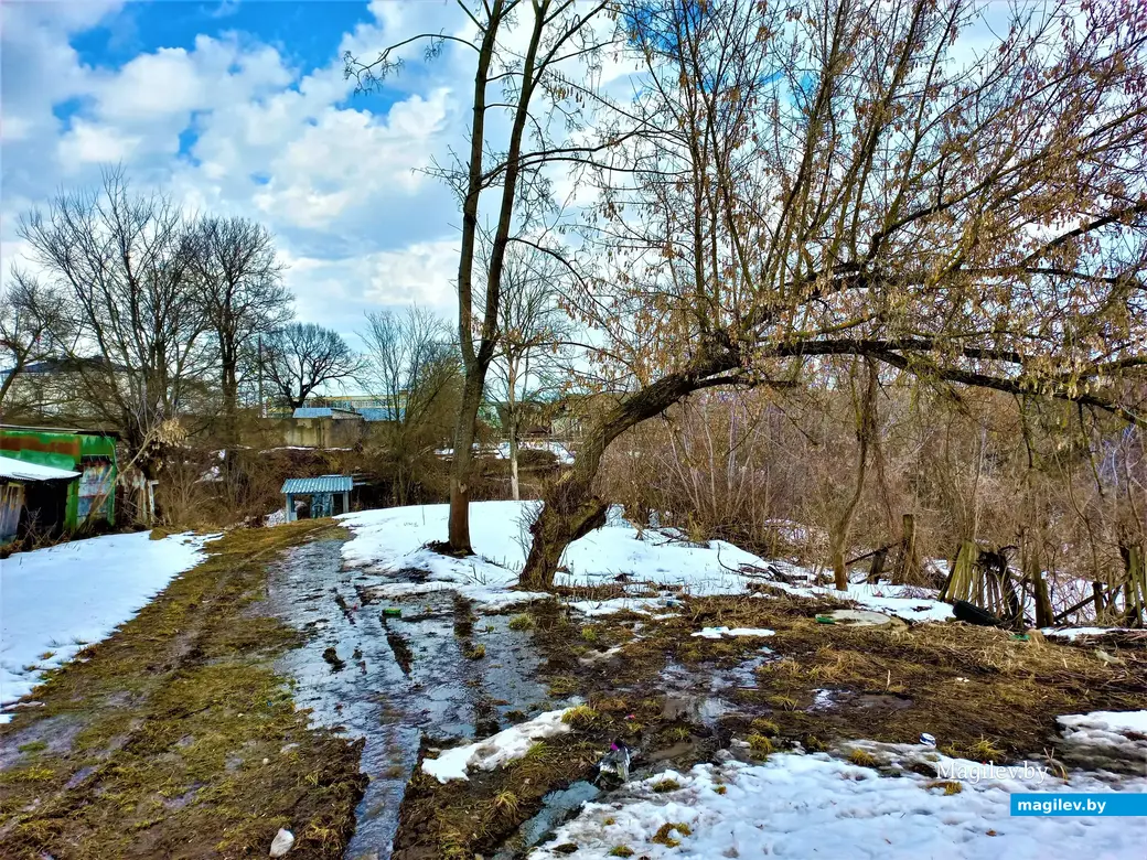 Могилев, Менжинка, март 2023 г.