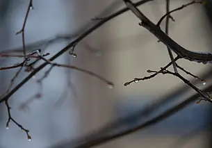 Какой будет погода в Могилеве в последний рабочий день недели