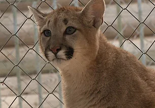 Куда сходить в Могилеве в ближайшие выходные: наш гид