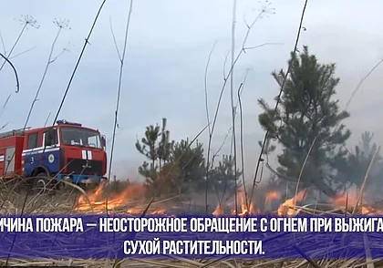 Спасатели Могилевской области за сутки дважды выезжали на тушение сухой травы