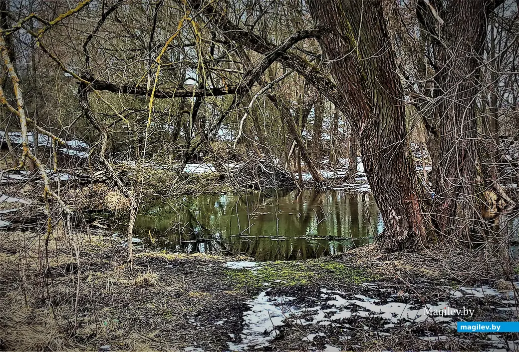 Могилев, Карабановка, речка Дубровенка, март 2023 г.