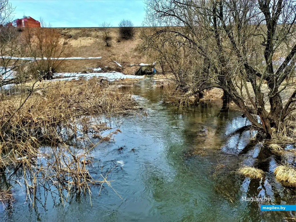 Мы уже на подходе к железнодорожному полотну. Могилев, Дубровенка, март 2023 г.