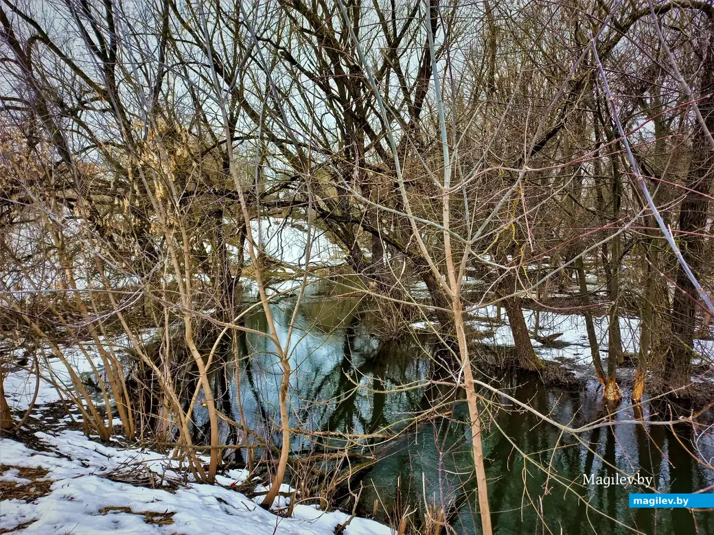 Могилев, Карабановка, речка Дубровенка, март 2023 г.