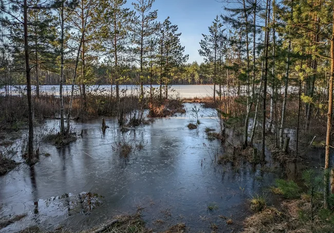 Ветрено и до 4 градусов с плюсом: погода в Могилеве 5 марта