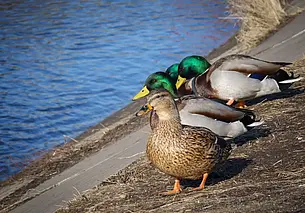 Куда сходить в Могилеве в ближайшие выходные: наш гид