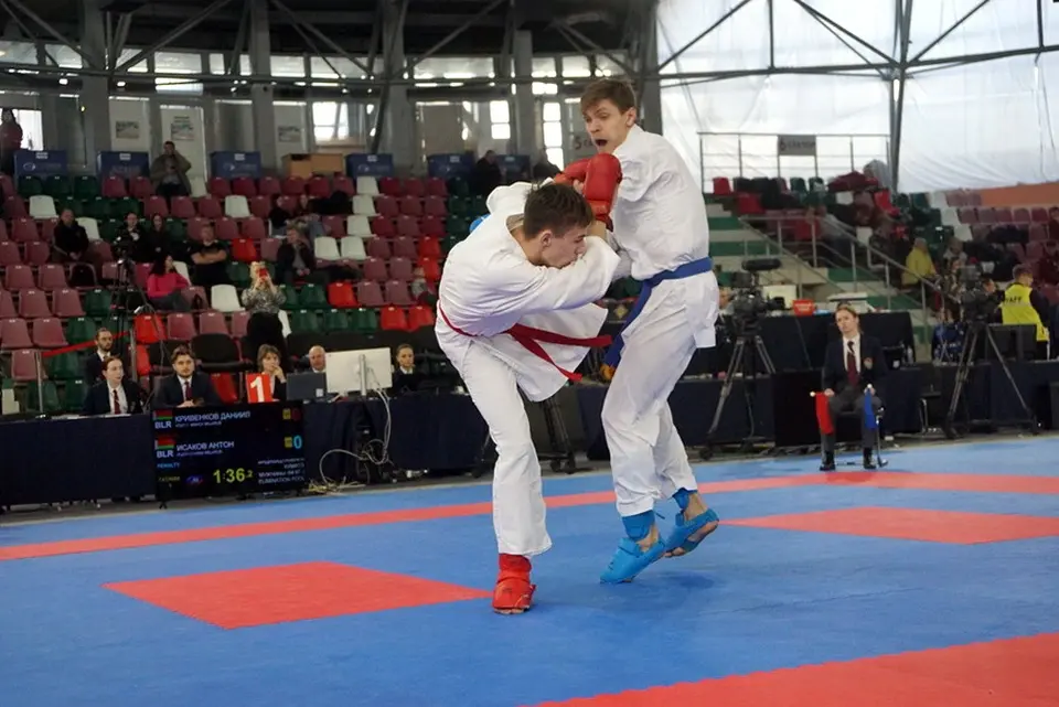 В Могилеве прошли первенство и чемпионат Беларуси по каратэ. Фото: vestnikmogileva.by