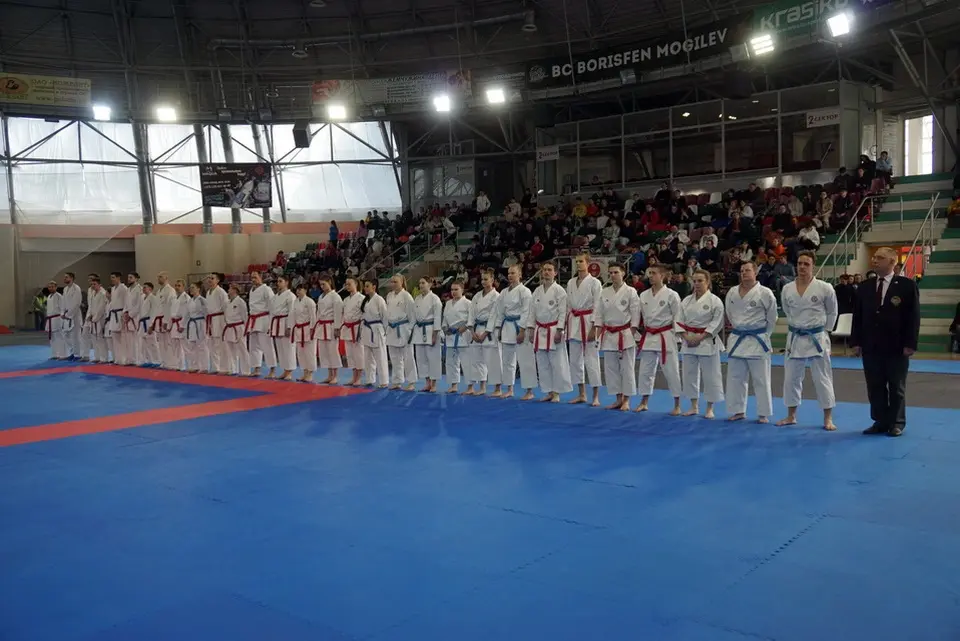 В Могилеве прошли первенство и чемпионат Беларуси по каратэ. Фото: vestnikmogileva.by