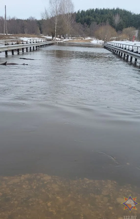 Чаусский район, деревня Скварск. Фото: Могилевское областное управление МЧС.
