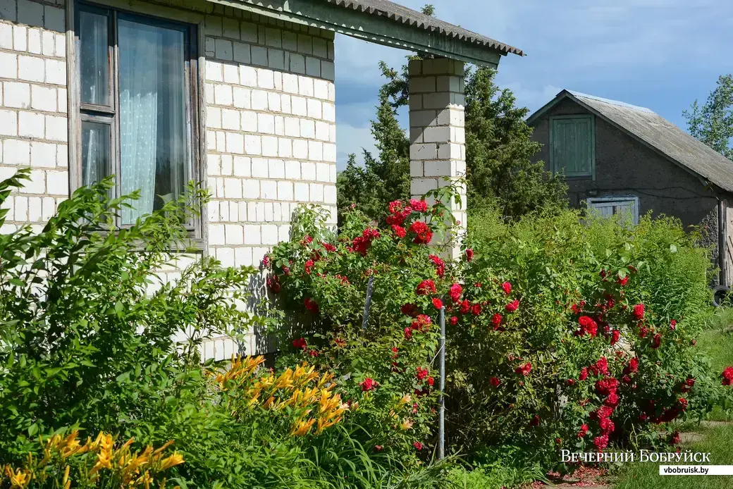 Глусский район, Могилевская область. Фото из архива «ВБ».
