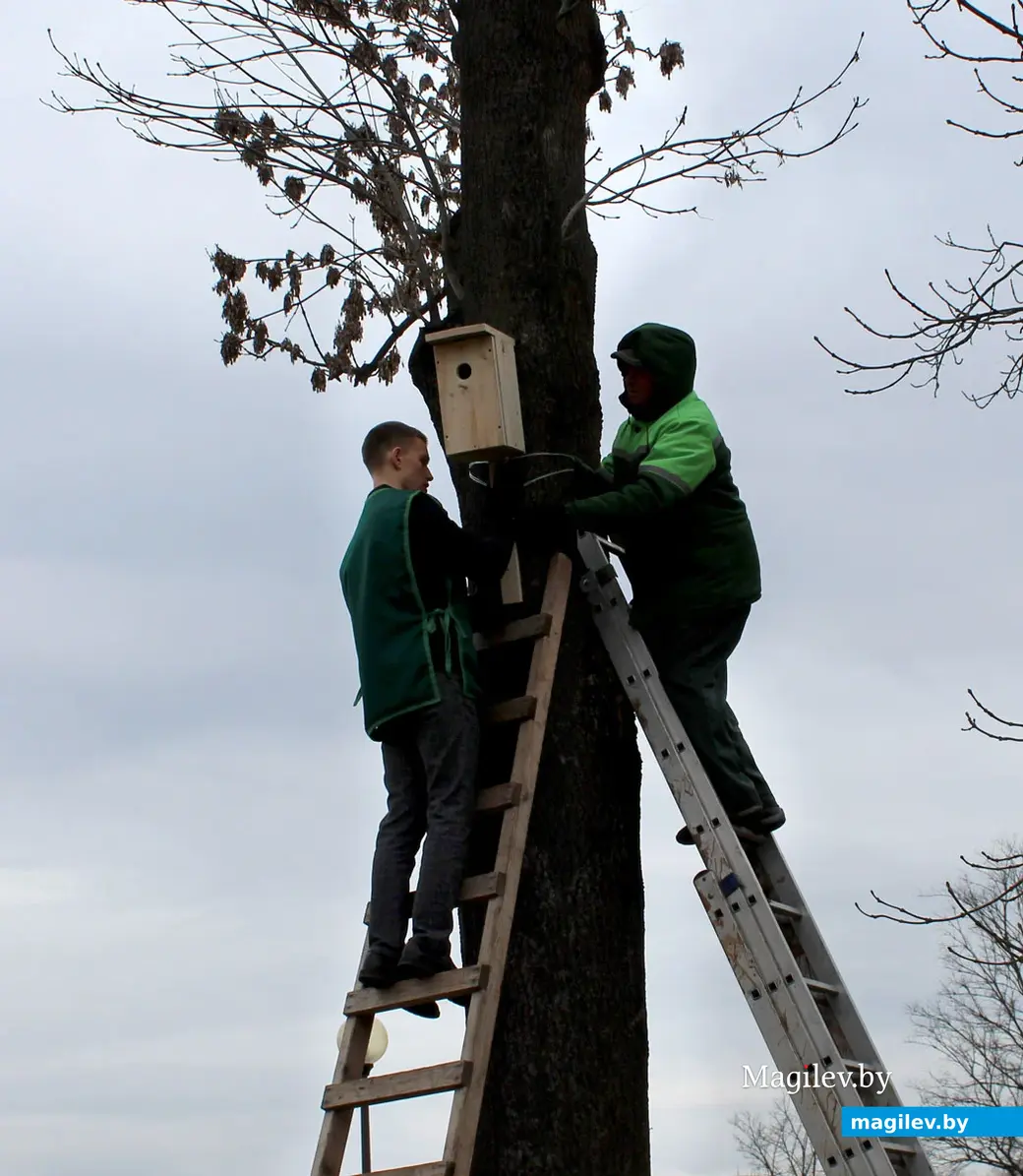 Мастер-класс по изготовлению скворечников с участием учащихся Вендорожской средней школы. Могилев. Парк Подниколья, 23 марта 2023 года.