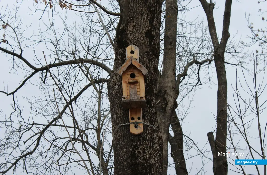 Обжитой скворечник в парке. Мастер-класс по изготовлению скворечников с участием учащихся Вендорожской средней школы. Могилев. Парк Подниколья, 23 марта 2023 года.
