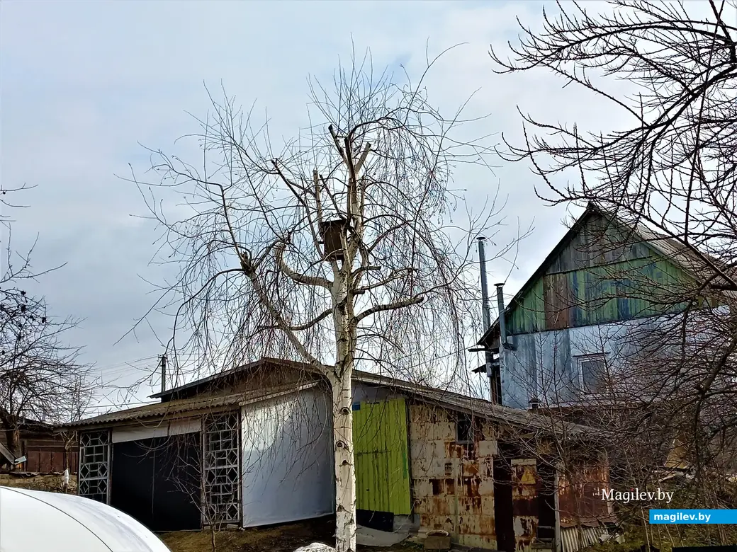 Карабановка, Могилев, 23.03.2023 г.