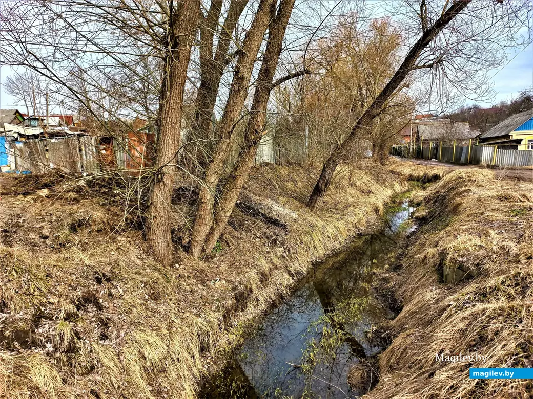 Карабановка, Могилев, 23.03.2023 г.