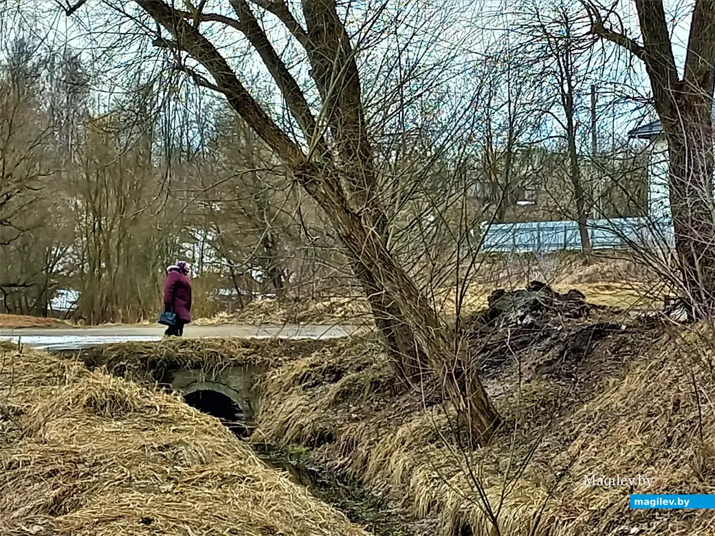Карабановка, Могилев, 23.03.2023 г.