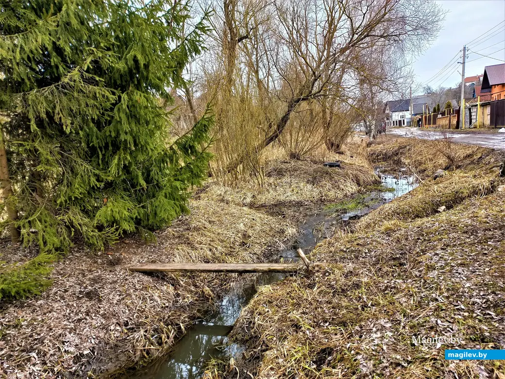 Карабановка, Могилев, 23.03.2023 г.