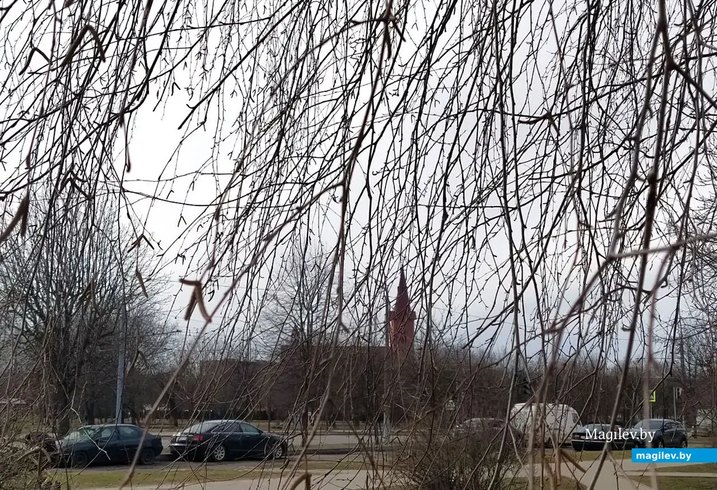 Весна – время пробуждения природы и сезонной аллергии. Один из самых опасных аллергенов в это время – пыльца цветущей березы.