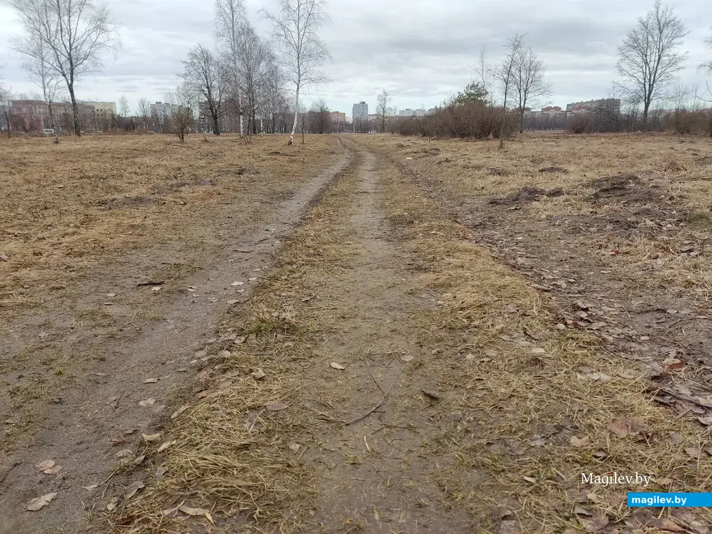 Последняя суббота марта в Могилеве. Парк у Святого озера. 25.03.2023 г.