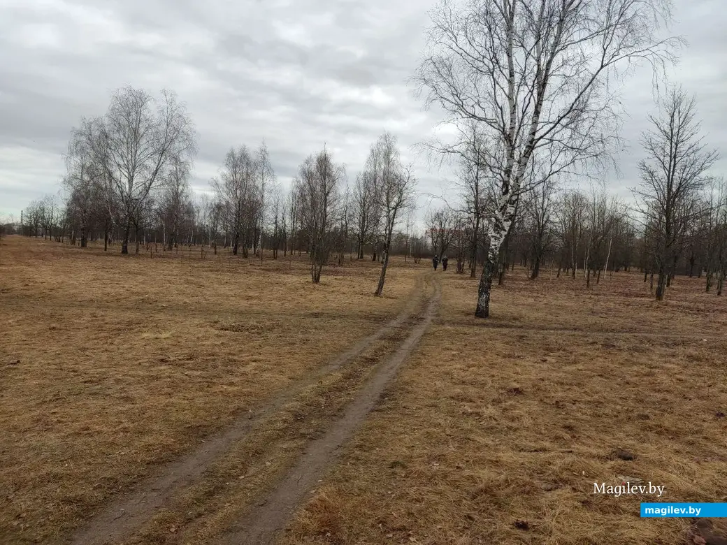 Последняя суббота марта в Могилеве. Парк у Святого озера. 25.03.2023 г.