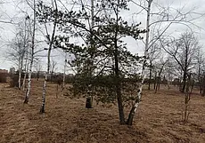 Последняя суббота марта в Могилеве, или Как я в городском парке весну искала