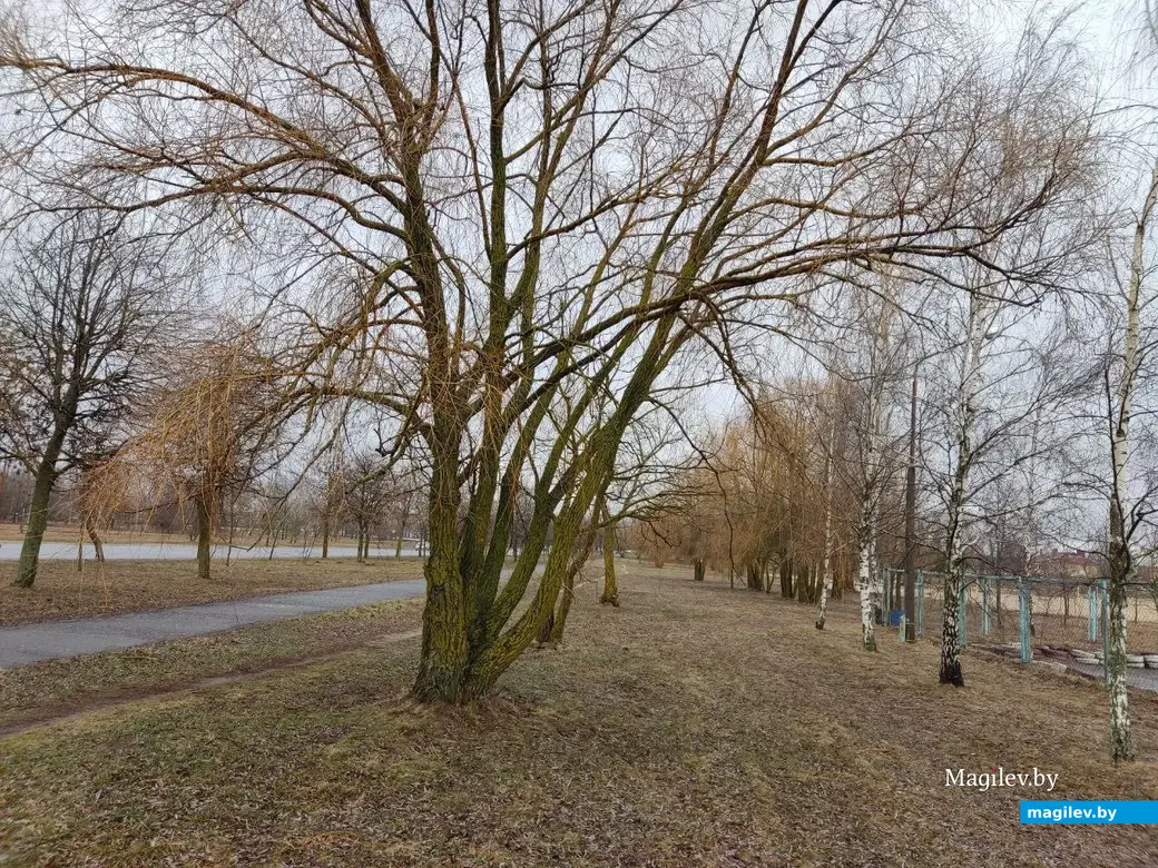 Последняя суббота марта в Могилеве. Парк у Святого озера. 25.03.2023 г.