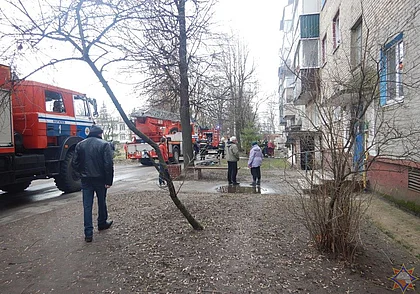 На пожаре в Могилеве спасли мужчину