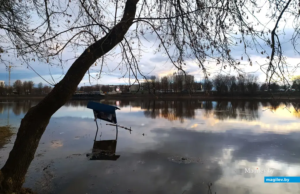 Разлив на Днепре. Могилев, 26 марта 2023 года.