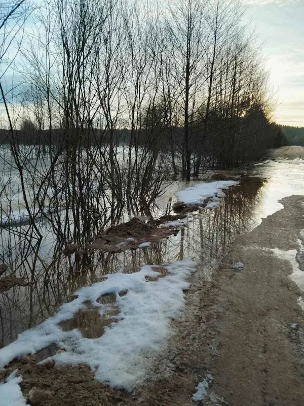 Ни проехать, ни пройти… Фото с сайта pniva.by