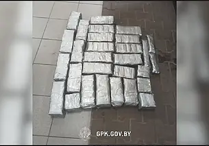 Молдованин попытался ввезти на территорию Беларуси 80 кг гашиша
