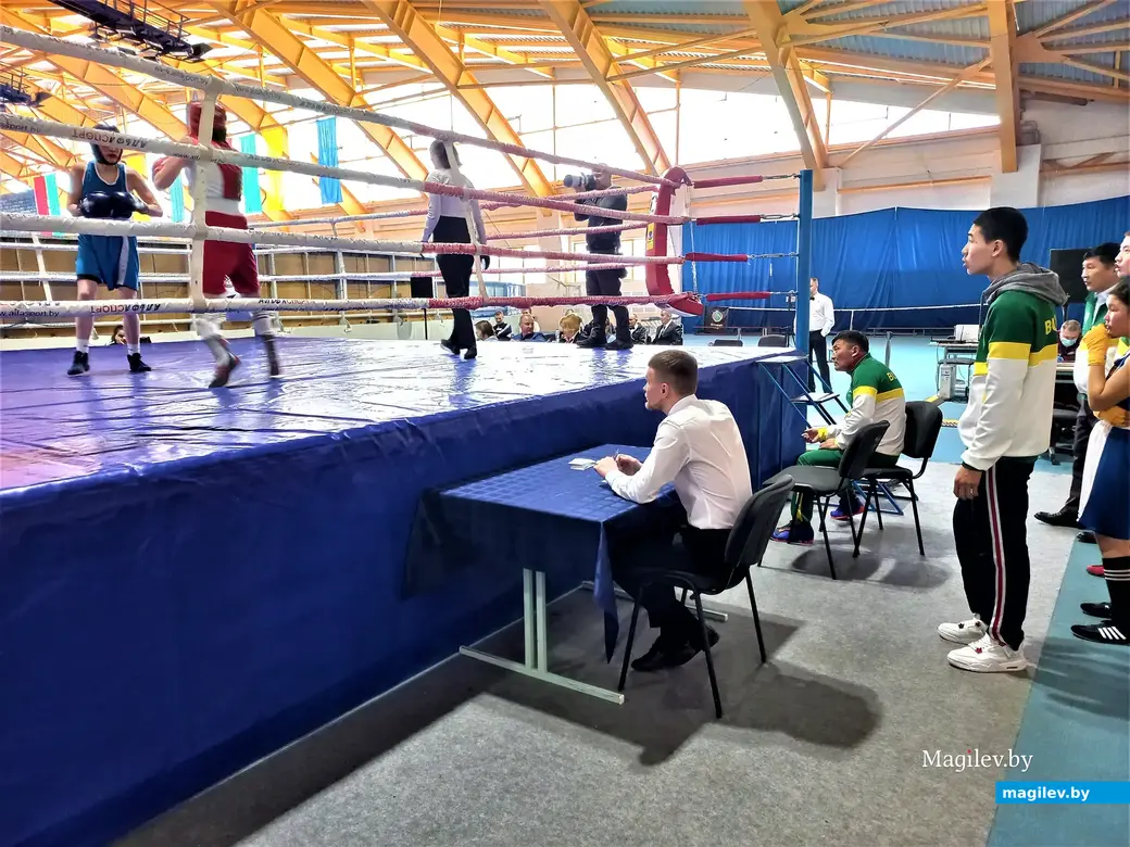 XIV открытый Республиканский турнира по боксу памяти Заслуженного тренера Республики Беларусь Генриха Ривкина. Могилев, спорткомплекс «Олимниец», 29.03.2023 года.