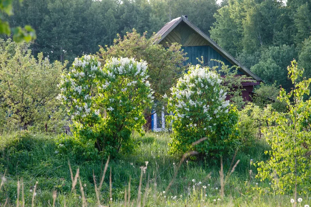 Фоторабота Николая Хотяинцева, вошедшая в состав выставочного проекта «Весны чарующая сила…».