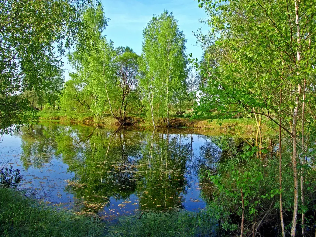 Фоторабота Николая Хотяинцева, вошедшая в состав выставочного проекта «Весны чарующая сила…».