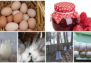 Домашние куриные яйца, козье молоко, варенье и не только: подборка бесплатных объявлений