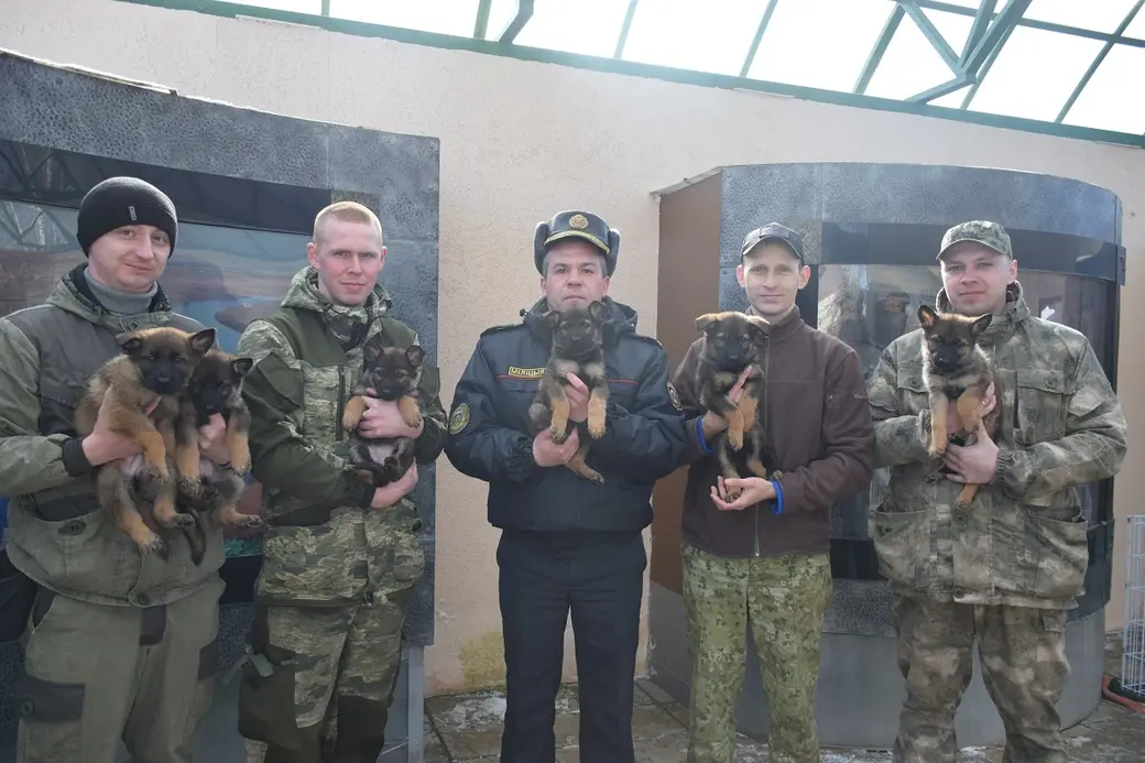 Фото: mogilev.ohrana.gov.by