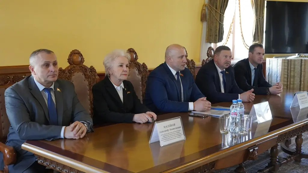 Совместное заседание актива молодежных парламентов, учреждений образования Могилева и Чаусского района. Фото: vestnikmogileva.by