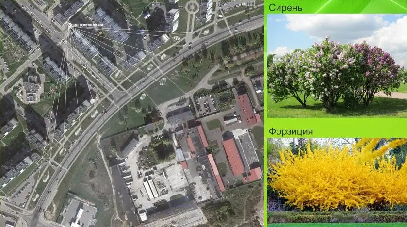 Фото: moymogilev