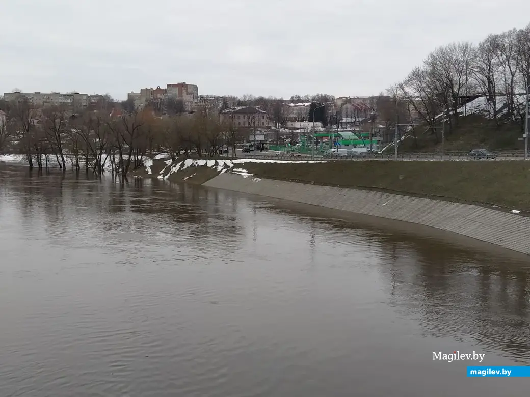 Уровень воды в днепре могилев сегодня. Могилев река Днепр. Река Могилев Полтава.