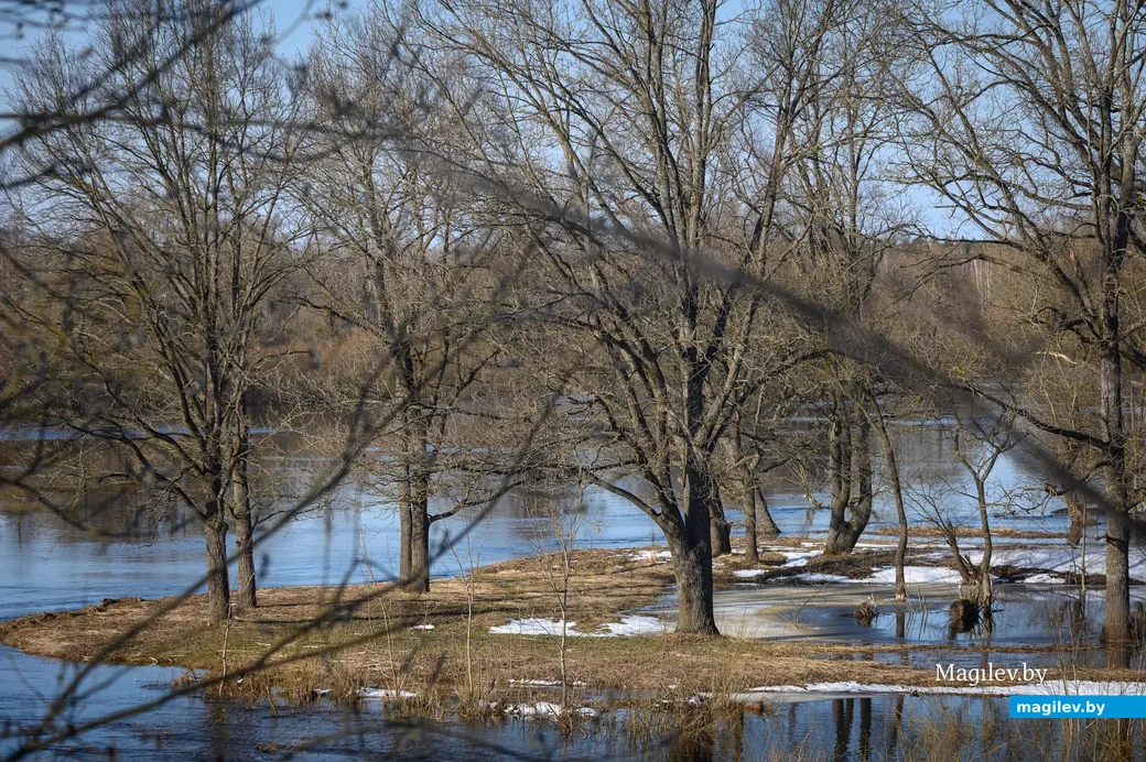 Неделя обещает быть по-настоящему весенней. Фото: Александр Чугуев.