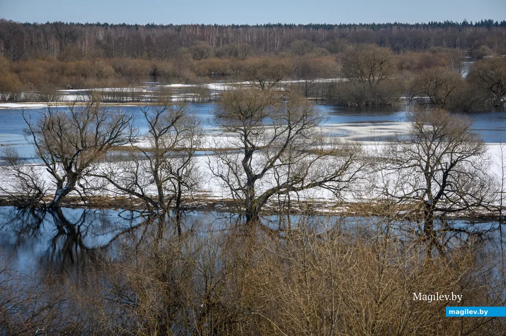 30.03.2023. Поселок Свислочь. Городище