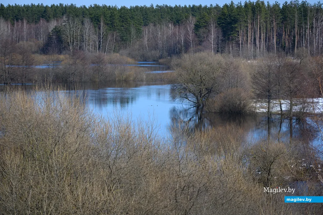 30.03.2023. Поселок Свислочь. Городище