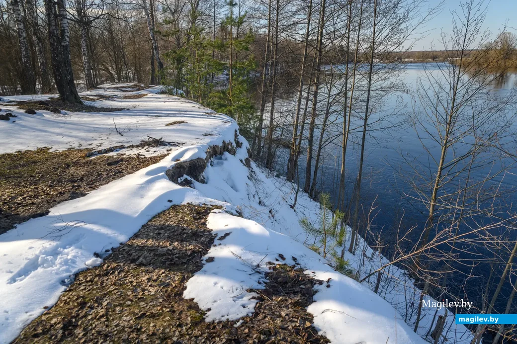 30.03.2023. Деревня Чучье. Берег Березины